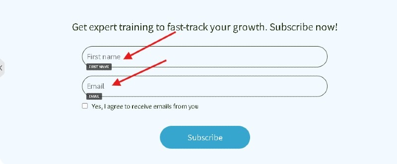 "A subscription form with fields for 'First name' and 'Email,' both labeled with red arrows. A checkbox for email consent and a blue 'Subscribe' button below."